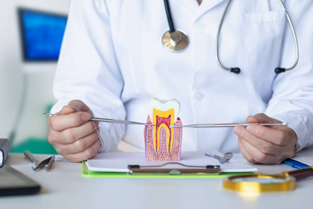 Best Emergency Dentist for Knocked-Out Tooth in Parsons, WV